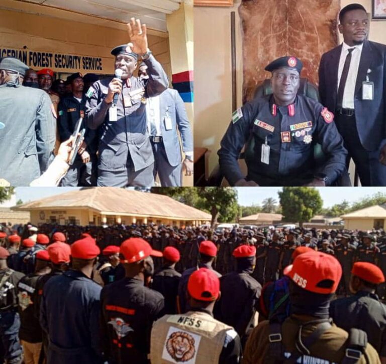 We'll Secure All Kano Borders if Supported - NFSS Commander - Global ...